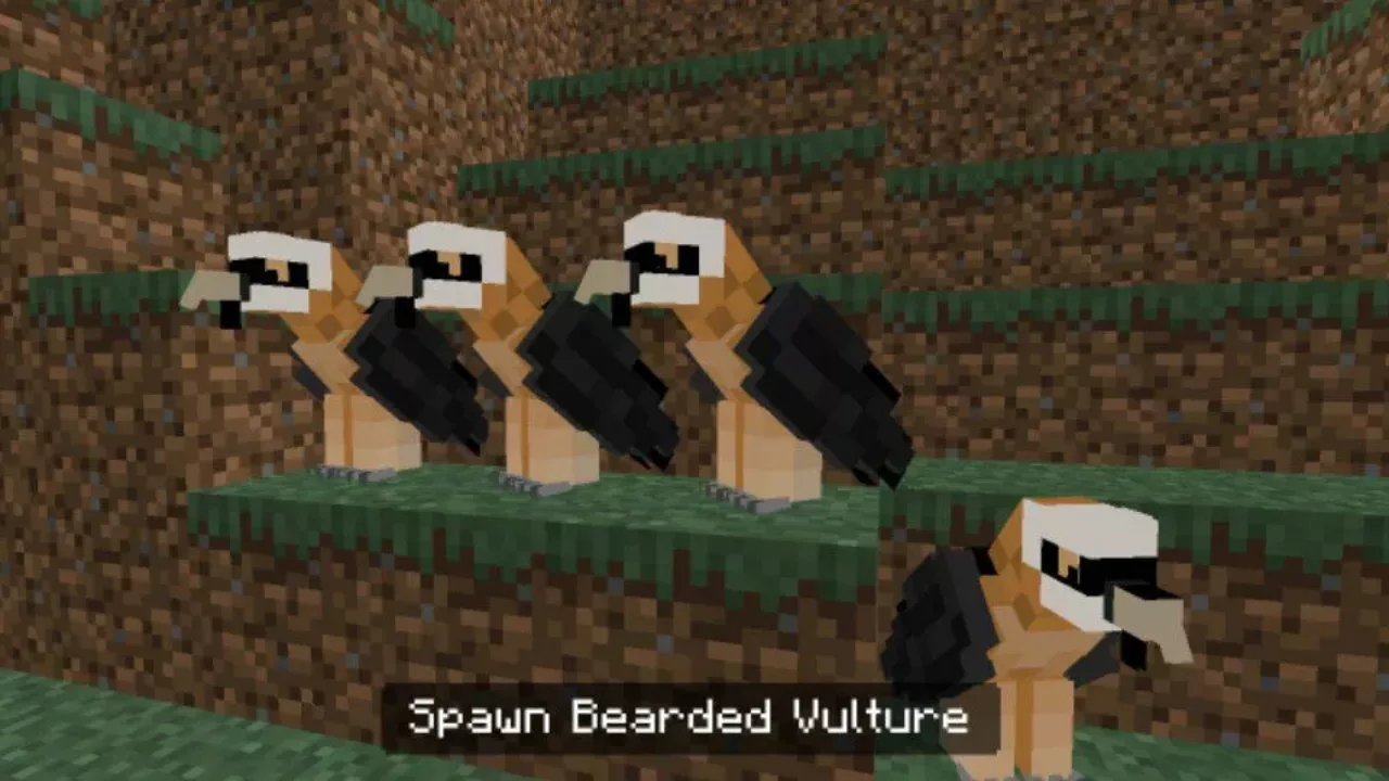 Vultures from Flying Mob Mod for Minecraft PE