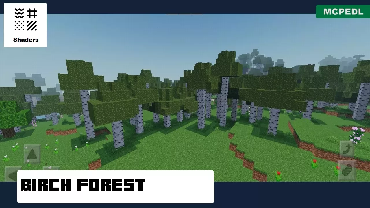 Birch Forest from Unbelievable Shader for Minecraft PE