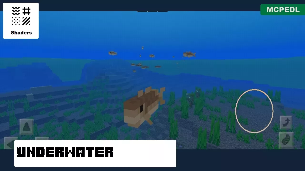 Underwater from Zebra Shader for Minecraft PE