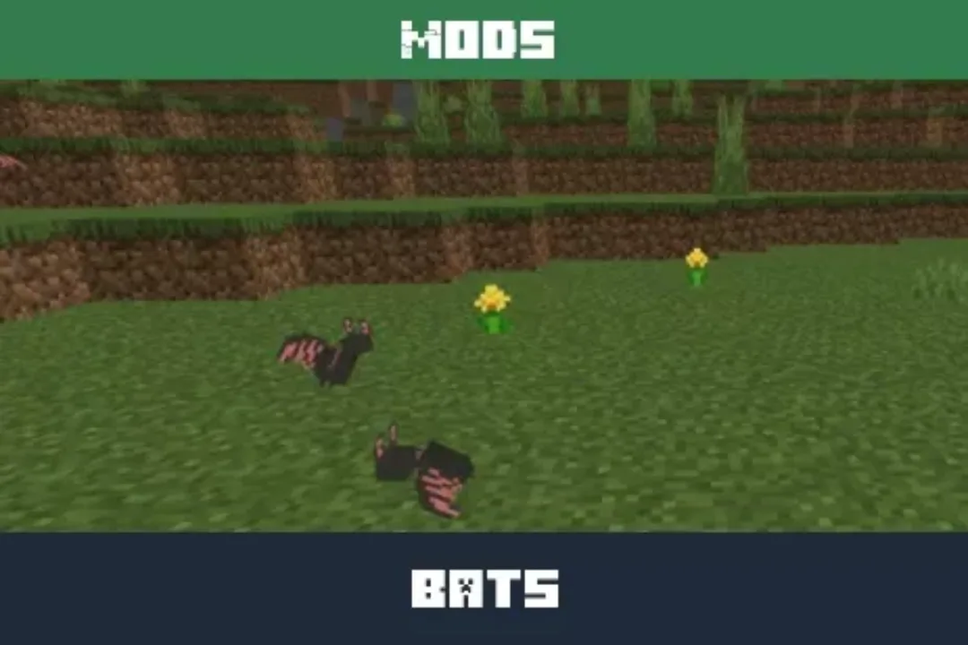Bat Mod for Minecraft PE