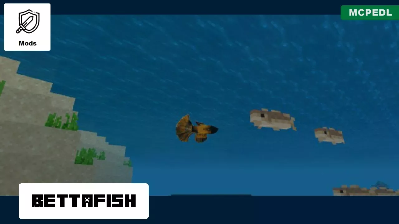 Bettafish from Fish Mod for Minecraft PE