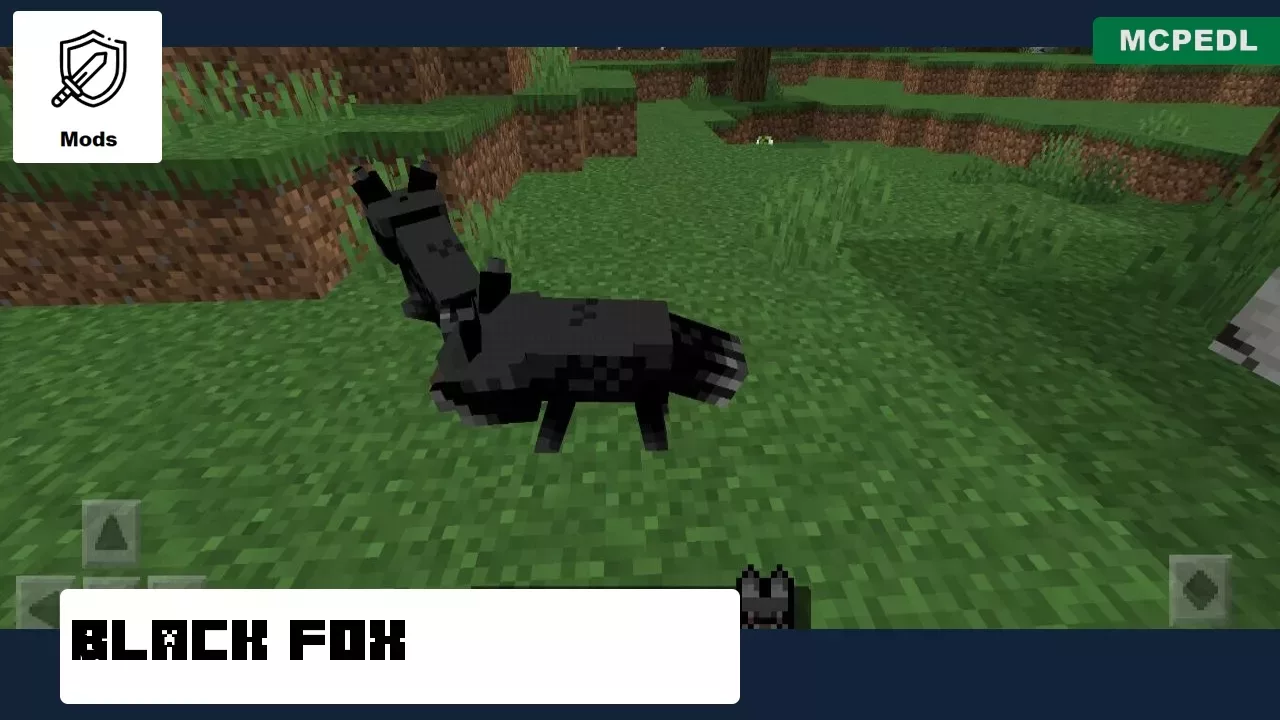 Black Fox from Fox Mod for Minecraft PE