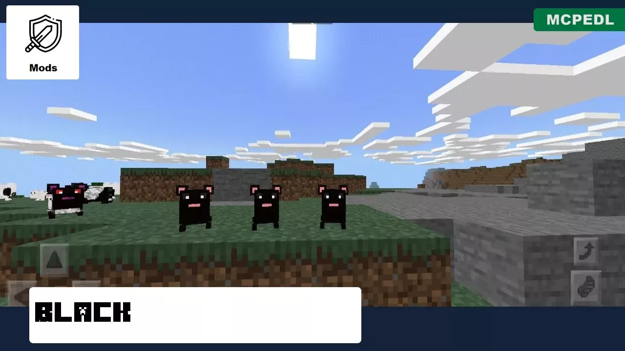 Black from Hamster Mod for Minecraft PE