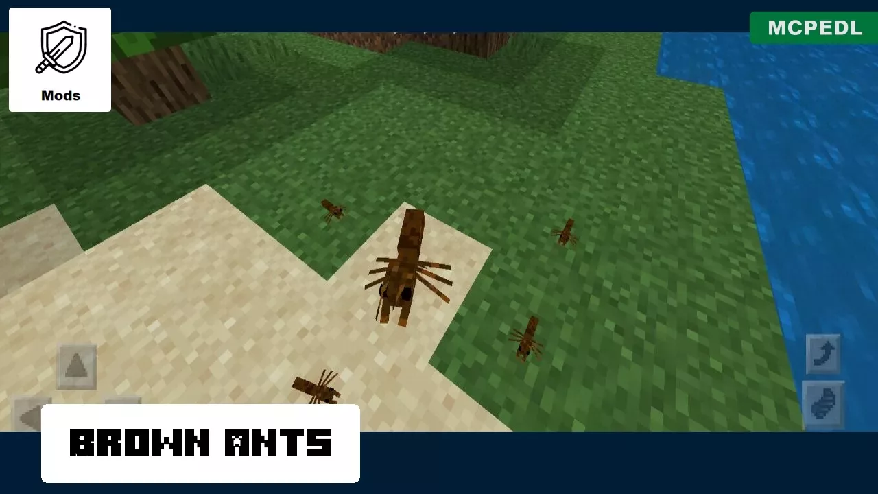 Brown Ants from Ants Mod for Minecraft PE