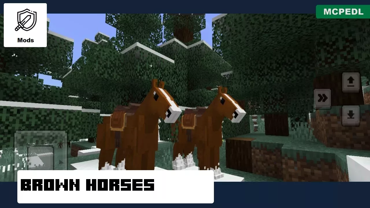 Brown Horses from Horse Mod for Mineraft PE