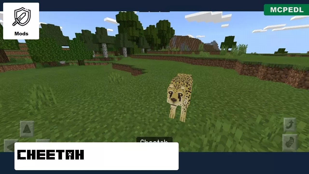 Cheetah from Elephant Mod for Minecraft PE