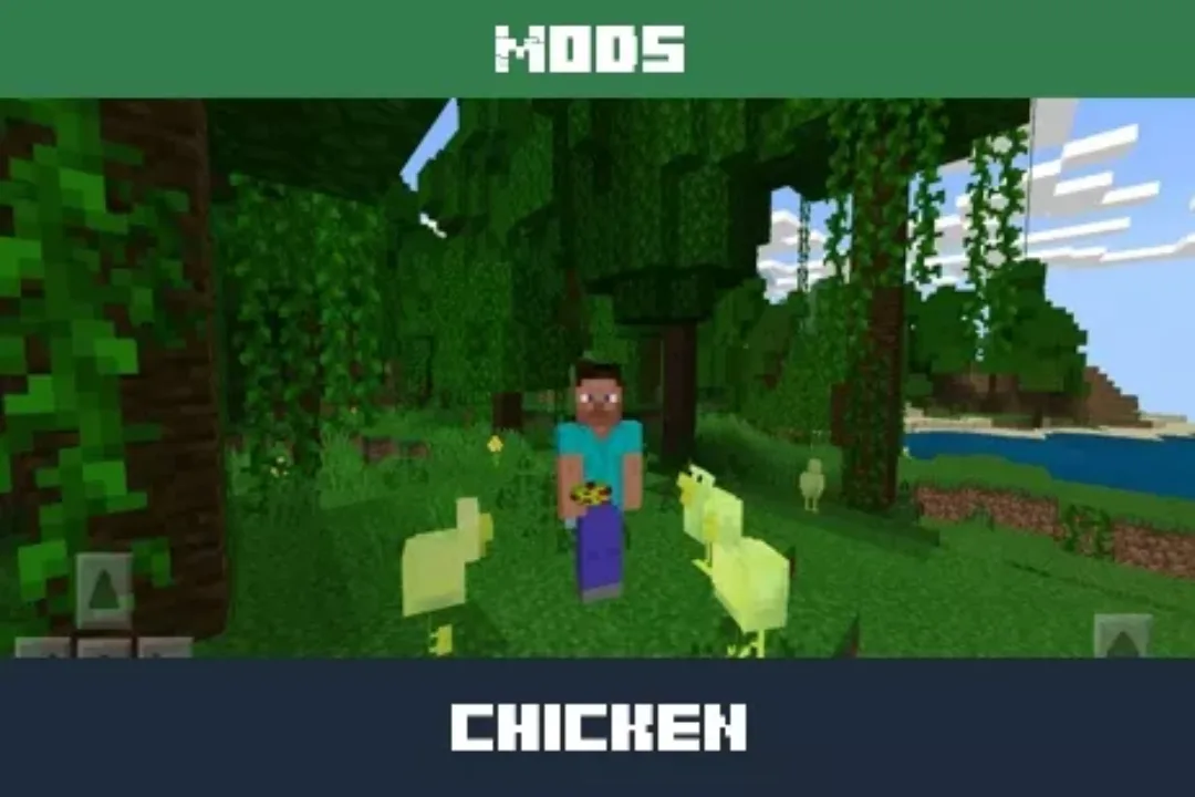 Chicken Mod for Minecraft PE