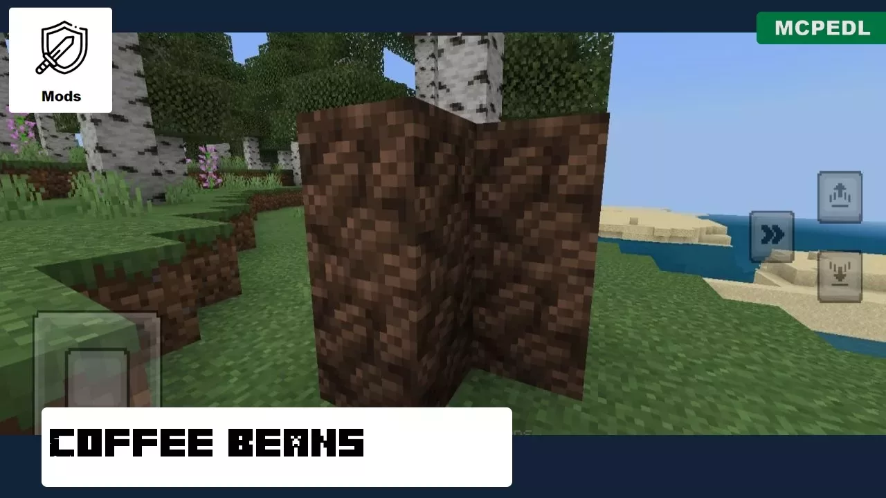 Coffee Beans from Coffee Mod for Minecraft PE