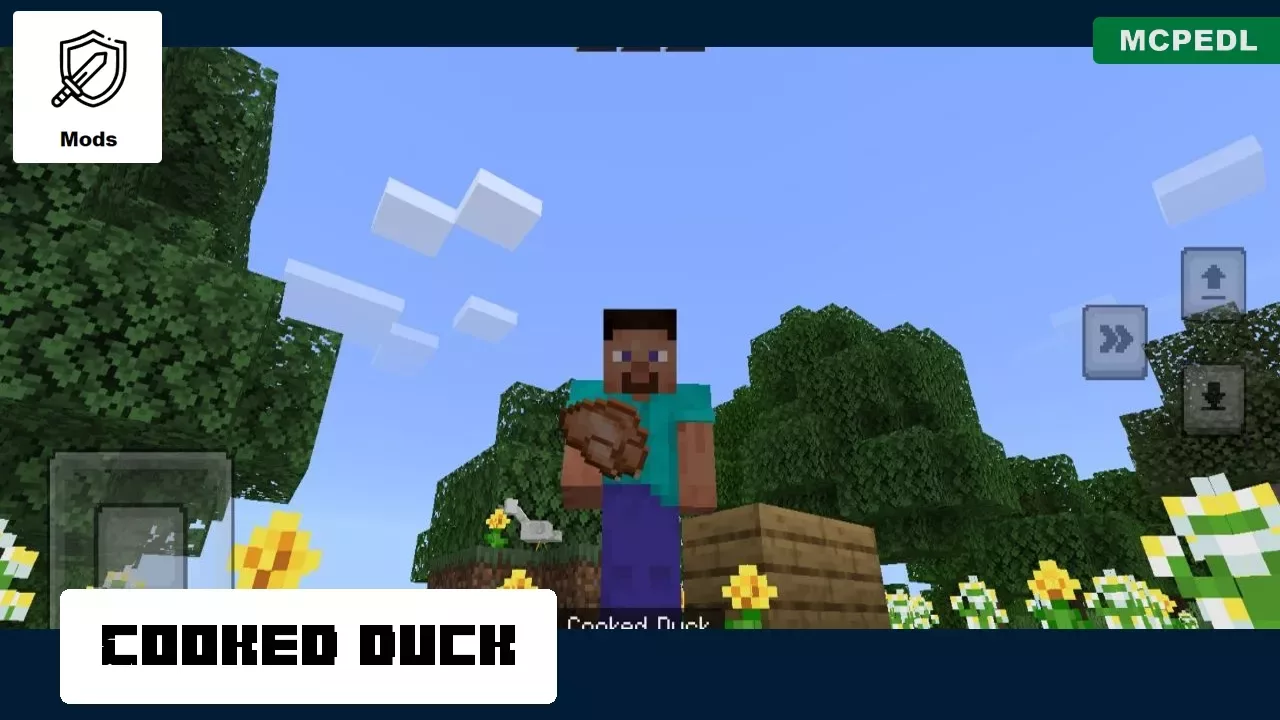 Cooked Duck from Goose Mod for Minecraft PE