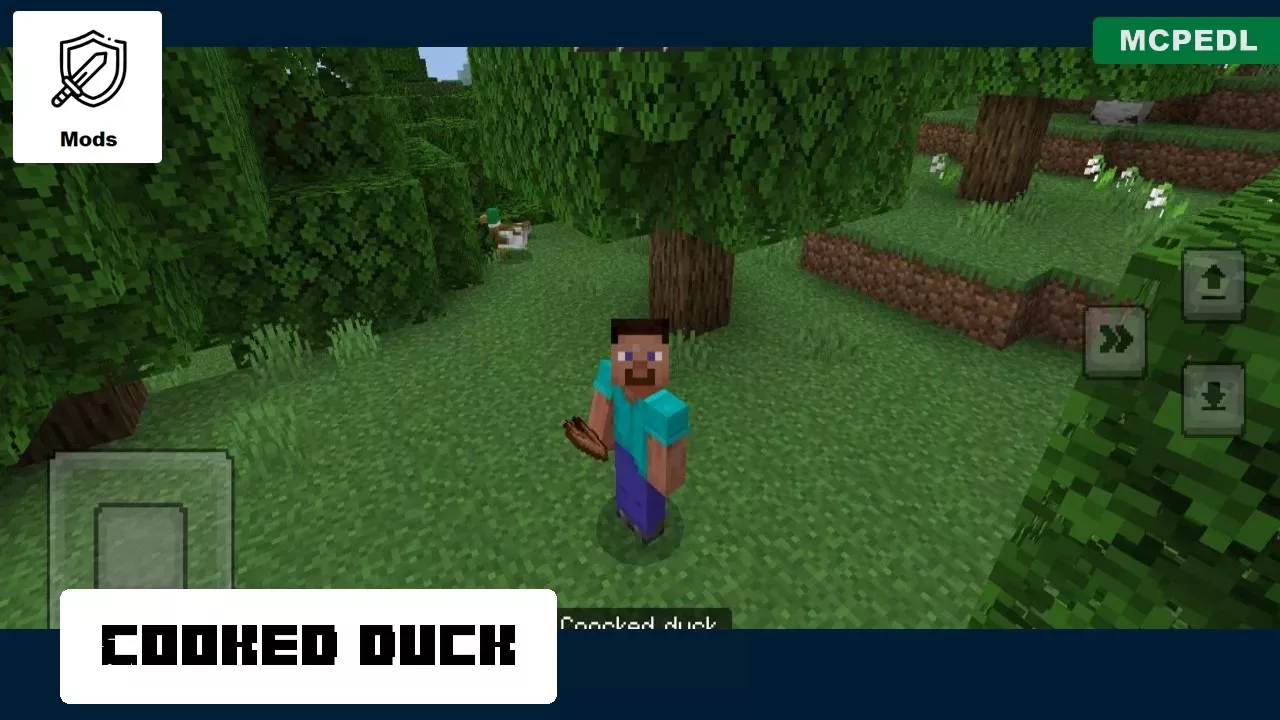 Cooked Duck from Duck Mod for Minecraft PE