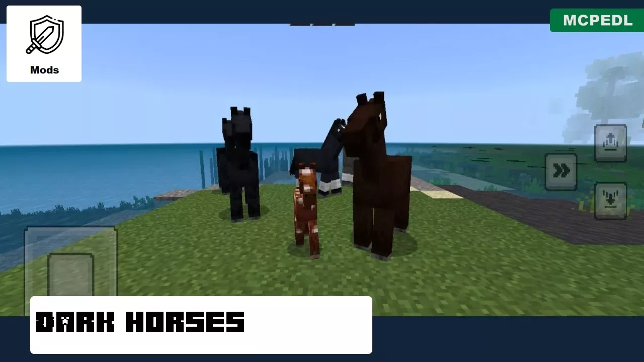 Dark Horses from Horse Mod for Mineraft PE
