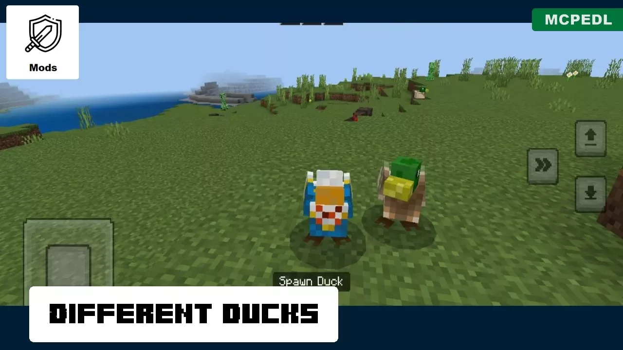 Different Ducks from Duck Mod for Minecraft PE