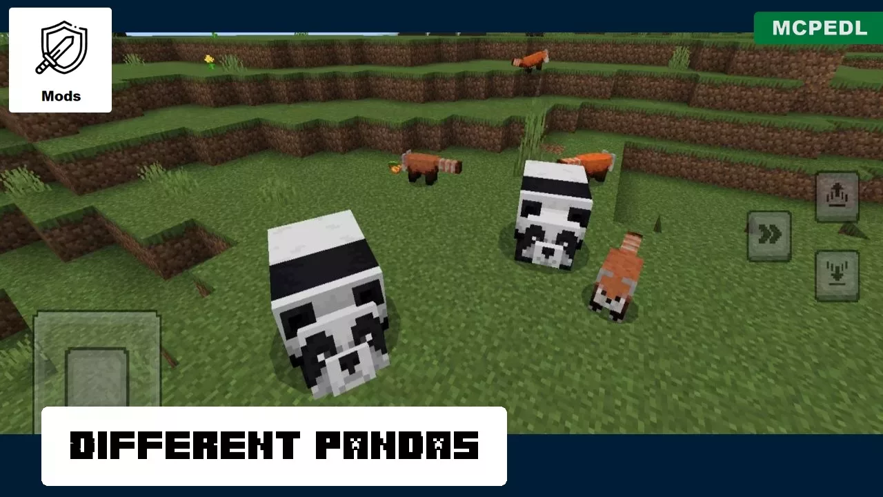 Different Pandas from Panda Mod for Minecraft PE