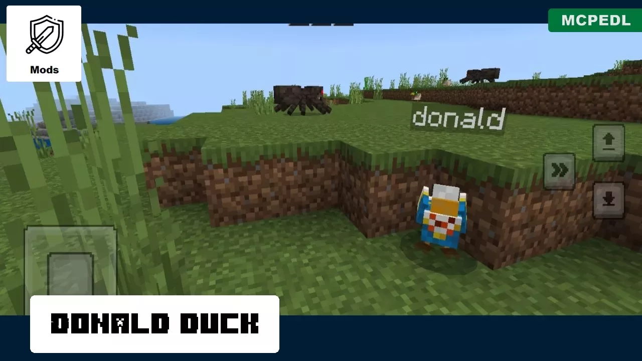 Donald from Duck Mod for Minecraft PE