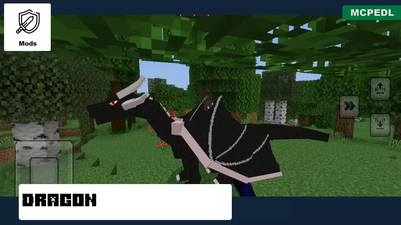 Dragon from Pegasus Mod for Minecraft PE