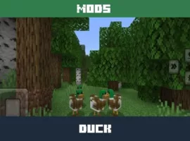 Duck Mod for Minecraft PE