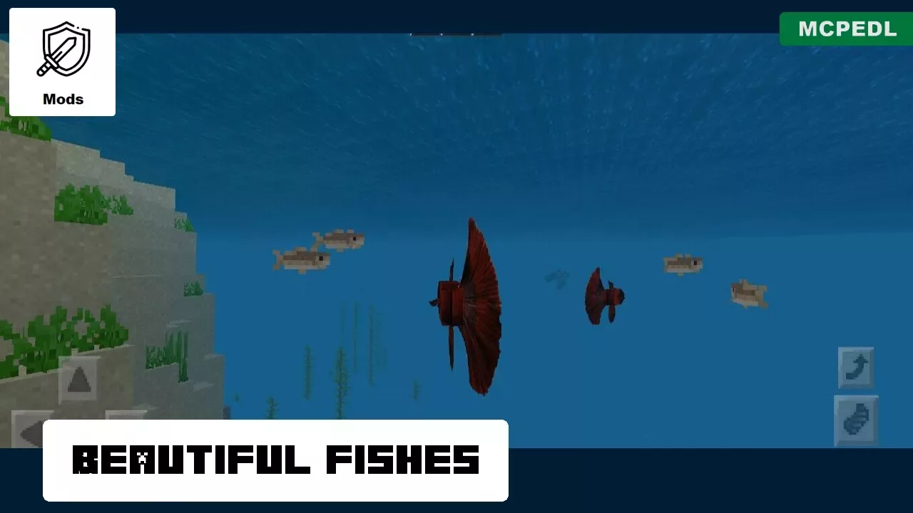 Fishes from Fish Mod for Minecraft PE