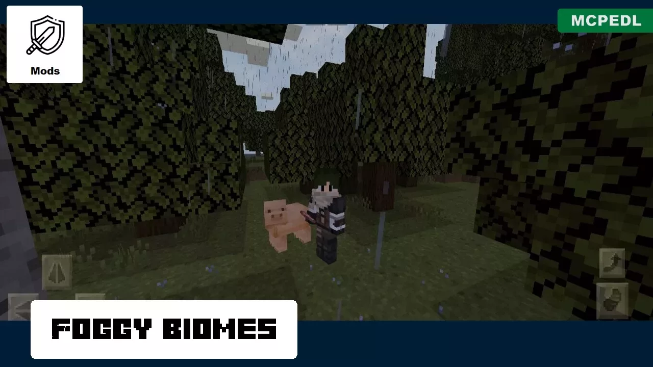 Foggy Biomes from Fog Mod for Minecraft PE