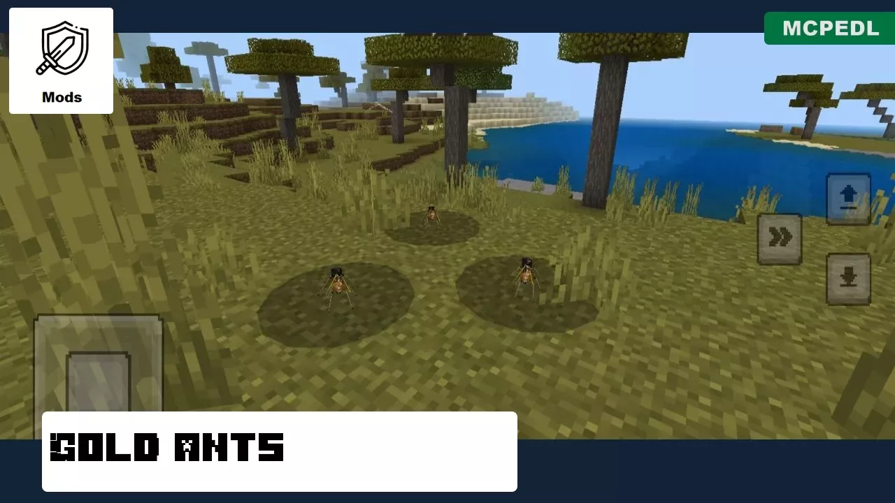 Gold Ants from Star Insects for Minecraft PE