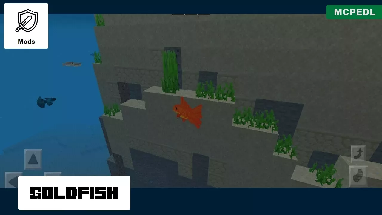 Gold Fish from Fish Mod for Minecraft PE