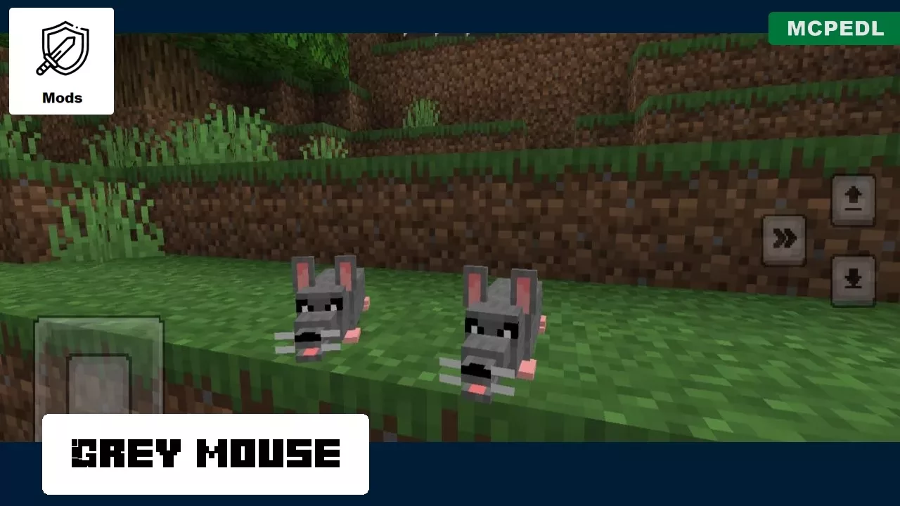 Grey Mouse from Mouse Mod for Minecraft PE
