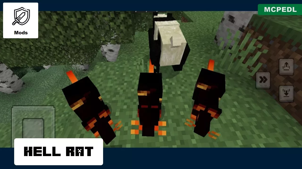 Hell Rat from Mouse Mod for Minecraft PE