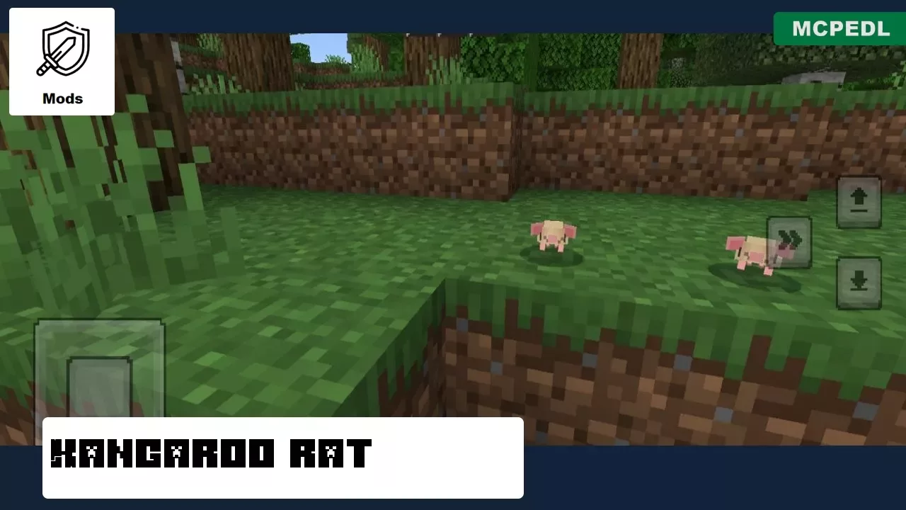 Kangaroo from Rats Mod for Minecraft PE