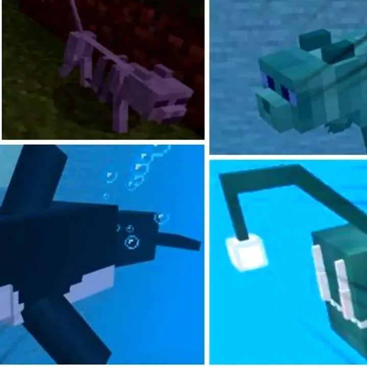 Marine Mob Mods for Minecraft PE Download