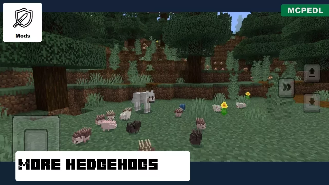 More Hedgehogs from Hedgehogs Mod for Minecraft PE