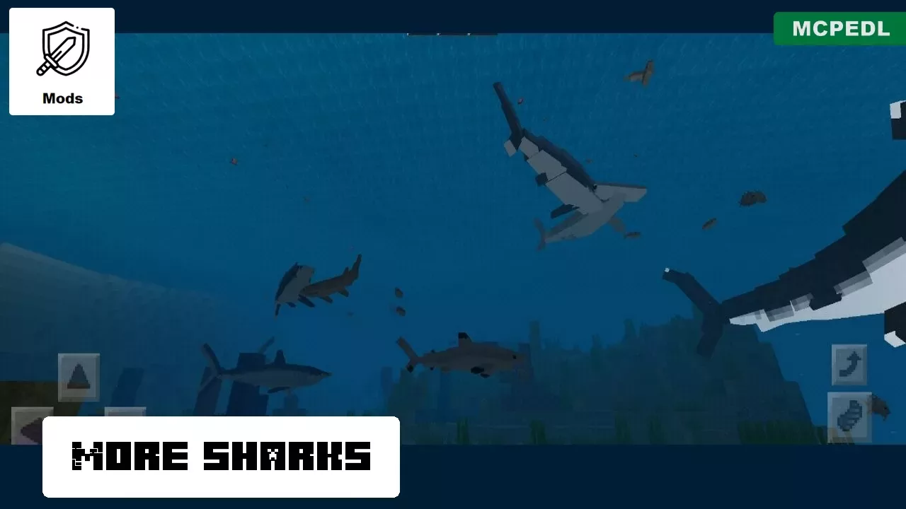More Sharks from Shark Mod for Minecraft PE