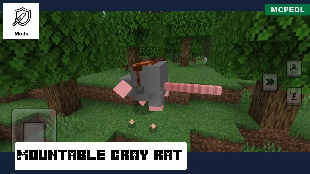 Mountable from Rats Mod for Minecraft PE