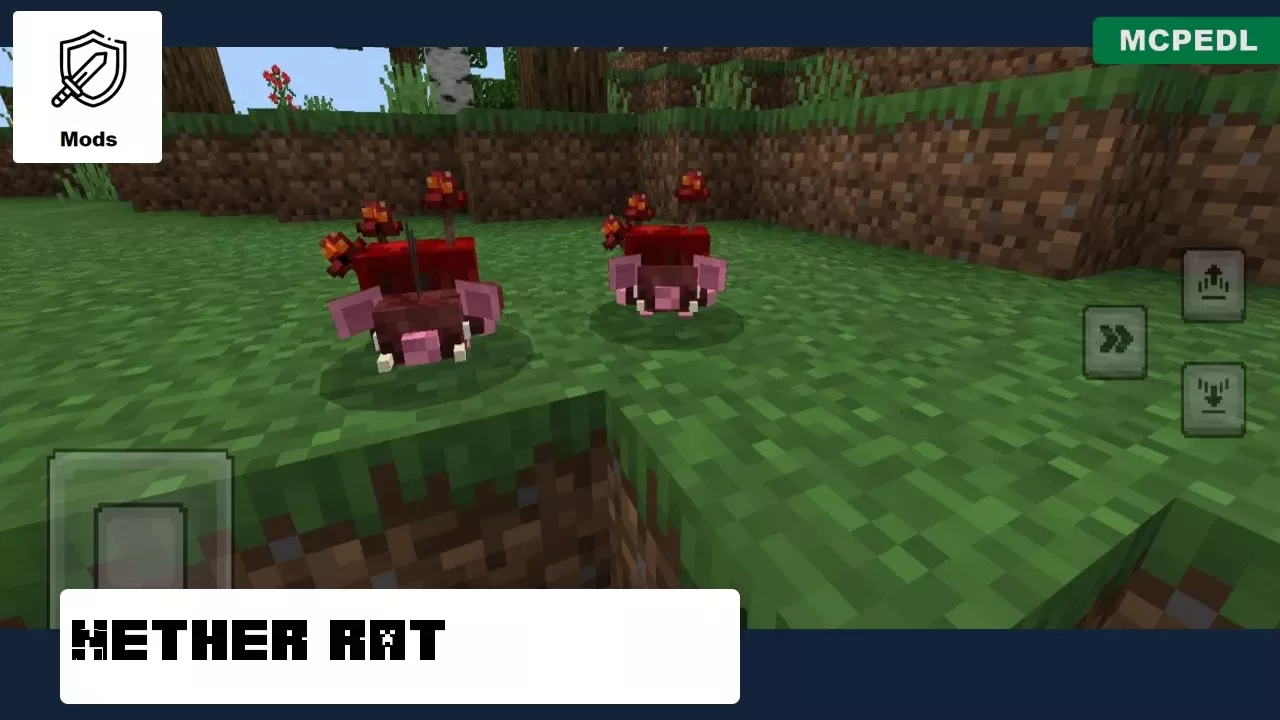 Nether from Rats Mod for Minecraft PE