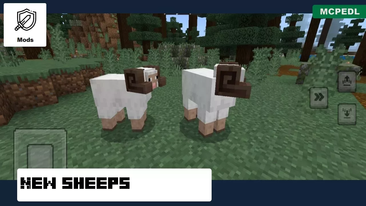 New Sheep from Sheep Mod for Minecraft PE