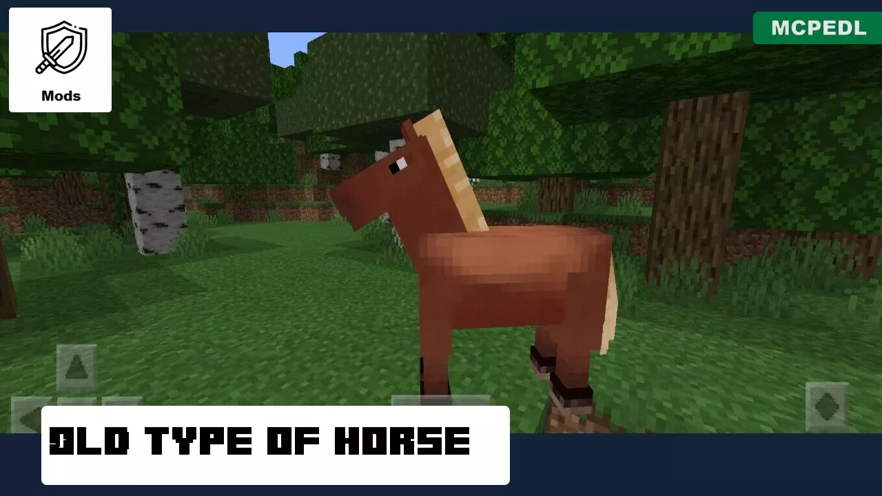 Old Type from Horse Mod for Mineraft PE
