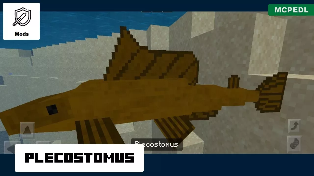 Plecostomus from Fish Mod for Minecraft PE