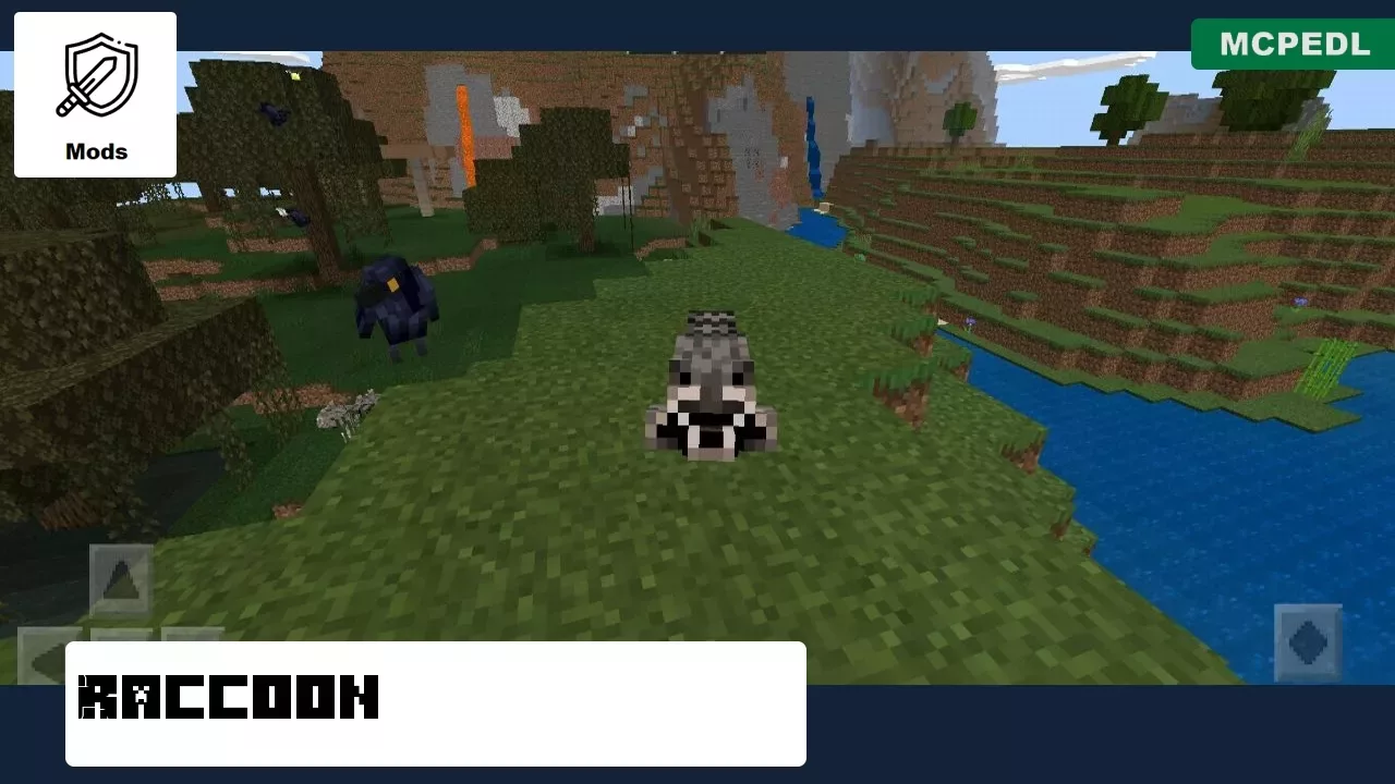 Racoon from Fireflies Mod for Minecraft PE