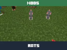 Rats Mod for Minecraft PE