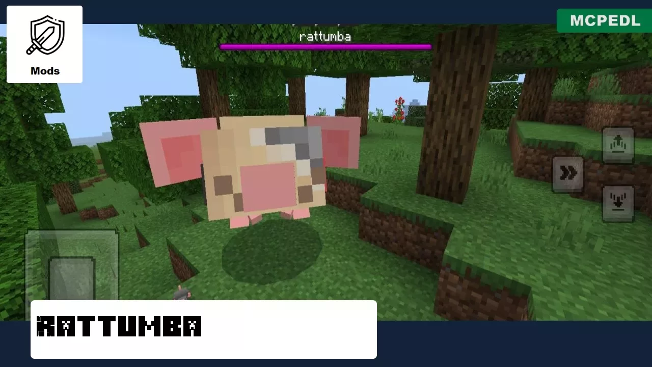 Rattumba from Rats Mod for Minecraft PE