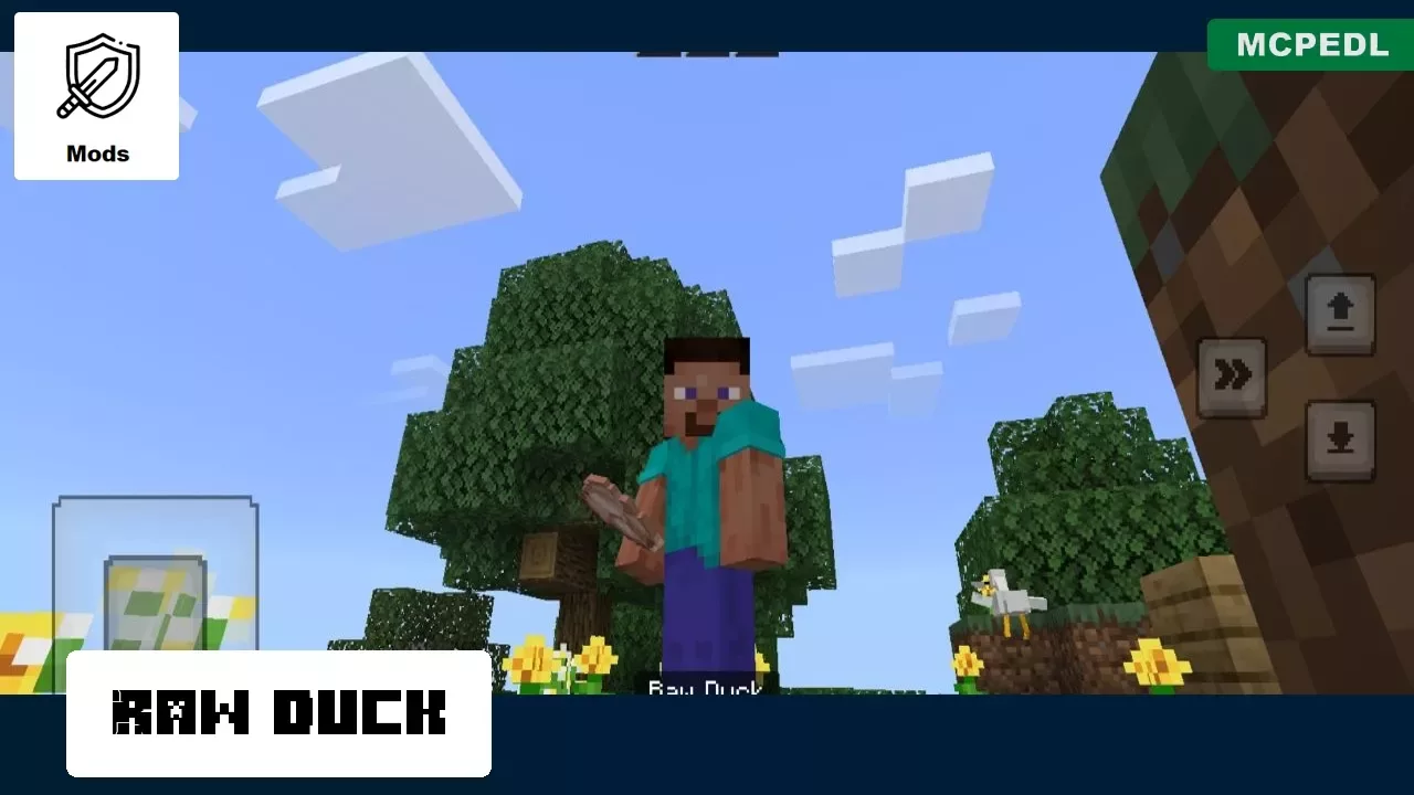 Raw Duck from Goose Mod for Minecraft PE