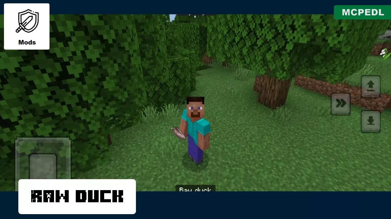 Raw Duck from Duck Mod for Minecraft PE