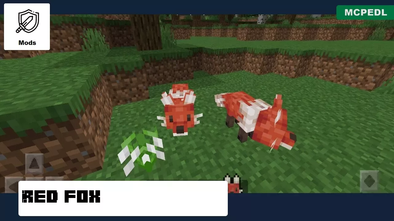 Red Fox from Fox Mod for Minecraft PE