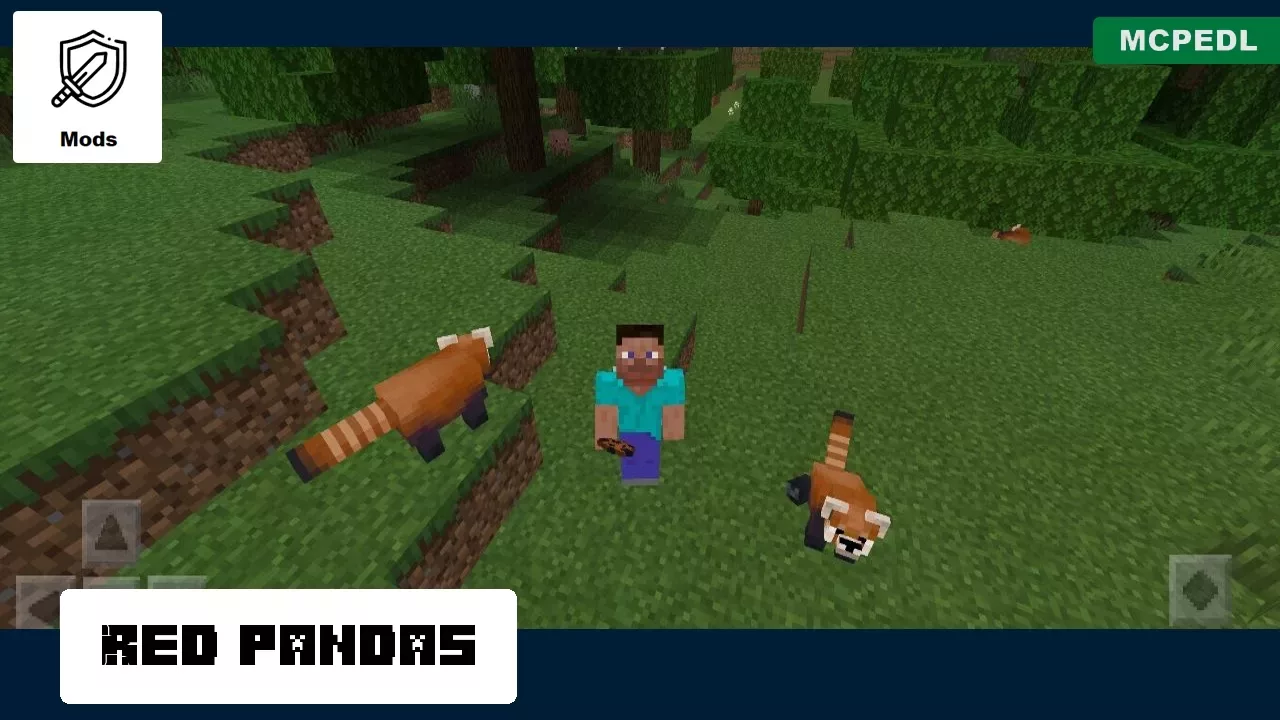 Red Panda from Panda Mod for Minecraft PE