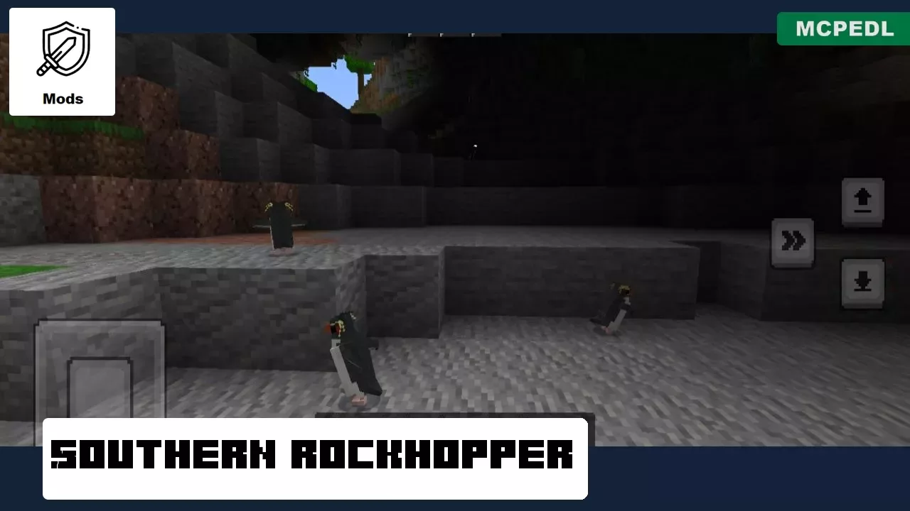 Rockhopper from Penguins Mod for Minecraft PE