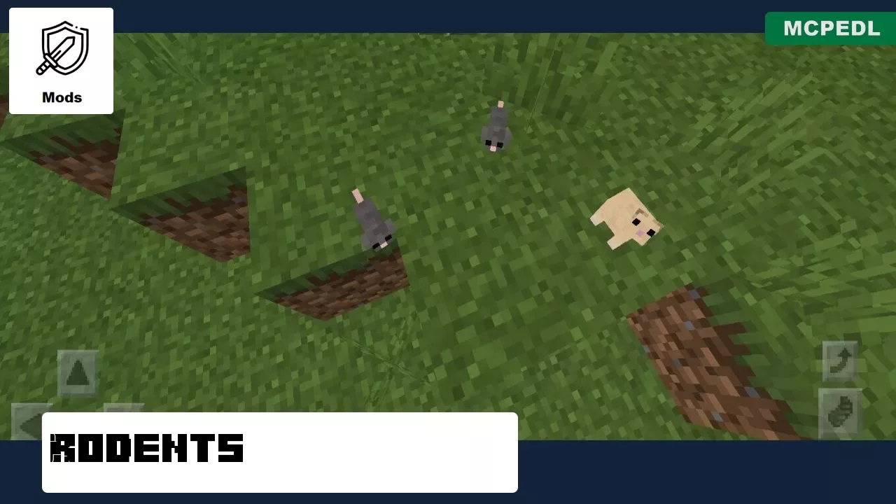 Rodents from Zoo Mod for Minecraft PE