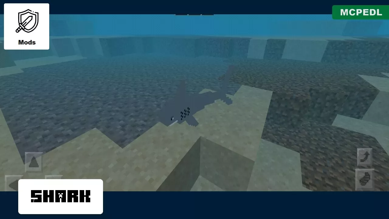 Shark from Whale Mod for Minecraft PE