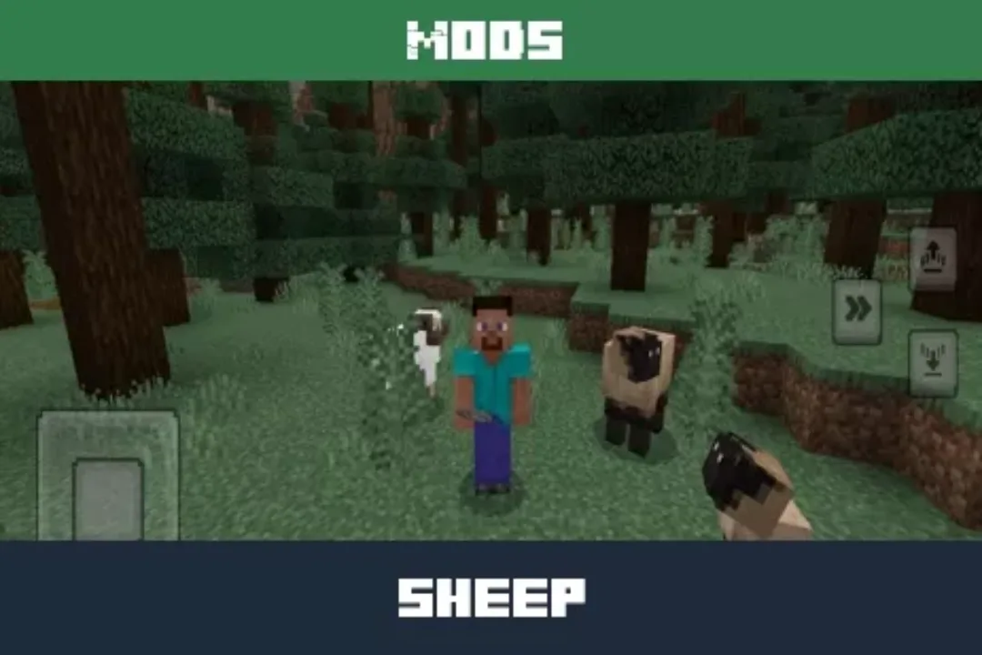 Sheeps Mod for Minecraft PE