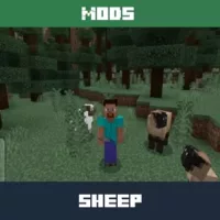 Sheeps Mod for Minecraft PE