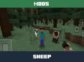 Sheeps Mod for Minecraft PE