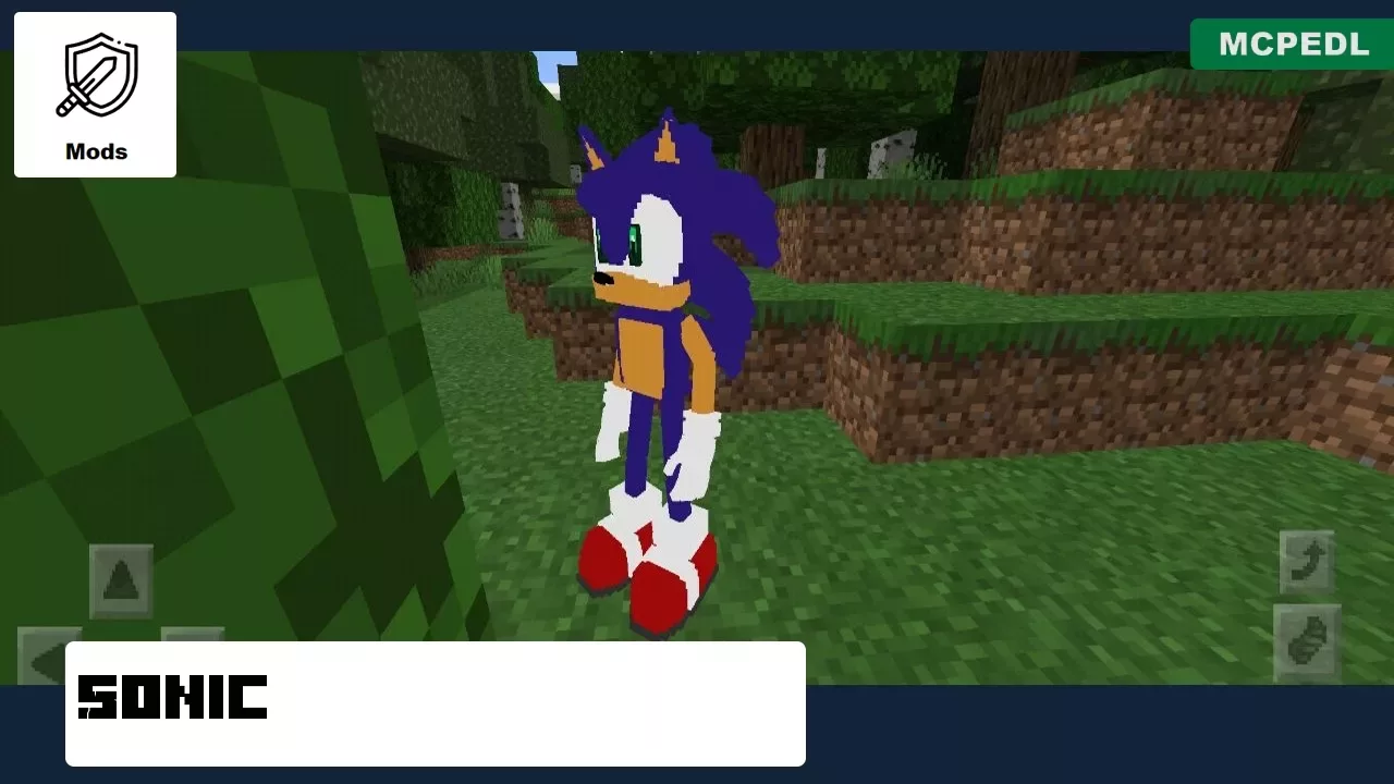 Sonic from Hedgehogs Mod for Minecraft PE