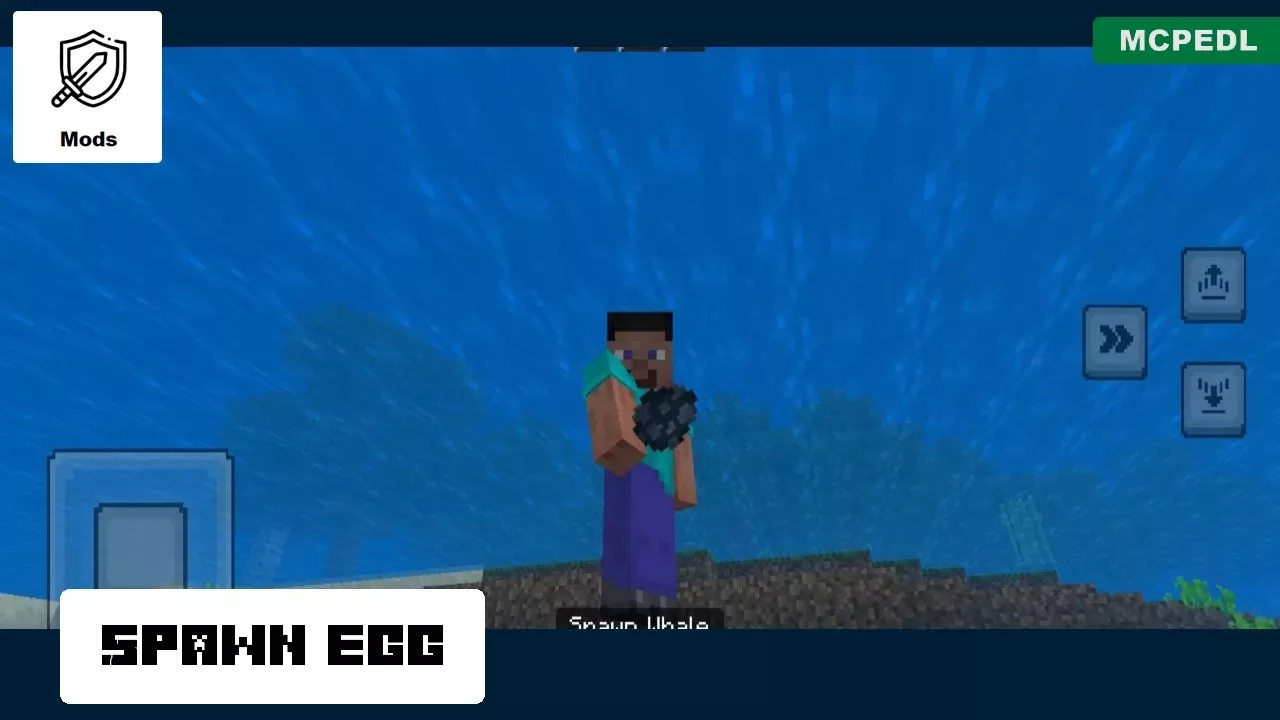 Spawn Egg from Whale Mod for Minecraft PE